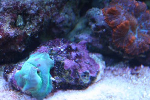 IMG_6448.jpg