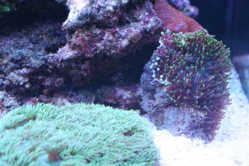 IMG_6451.jpg