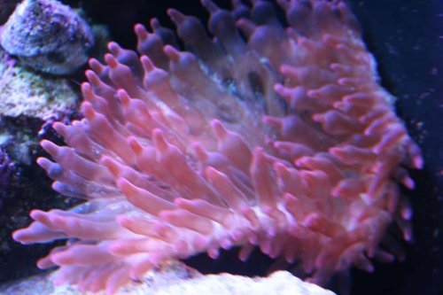 IMG_6453.jpg
