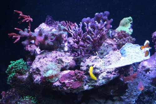 IMG_6459.jpg