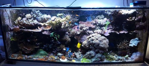 Full tank shot fra i dag.<br />Det lille kække knæk i toppen, skyldes at jeg ikke har fået nok morgenkaffe endnu. Man skal holde mobilen helt stille i panorama tilstand.