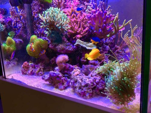 IMG_0619.JPG