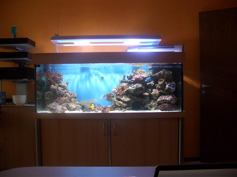 CIMG1453 (Medium).JPG