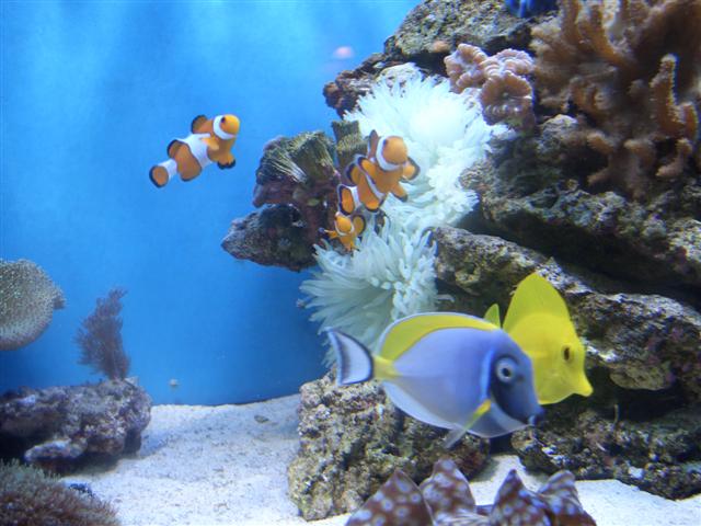 CIMG1457 (Small).JPG