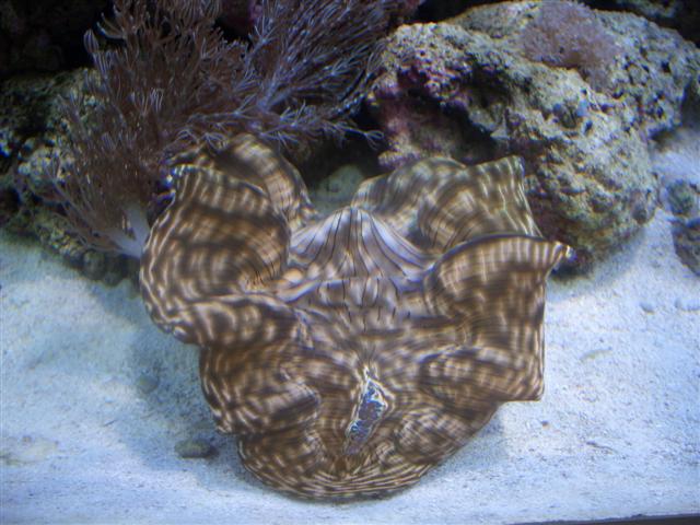 CIMG1458 (Small).JPG
