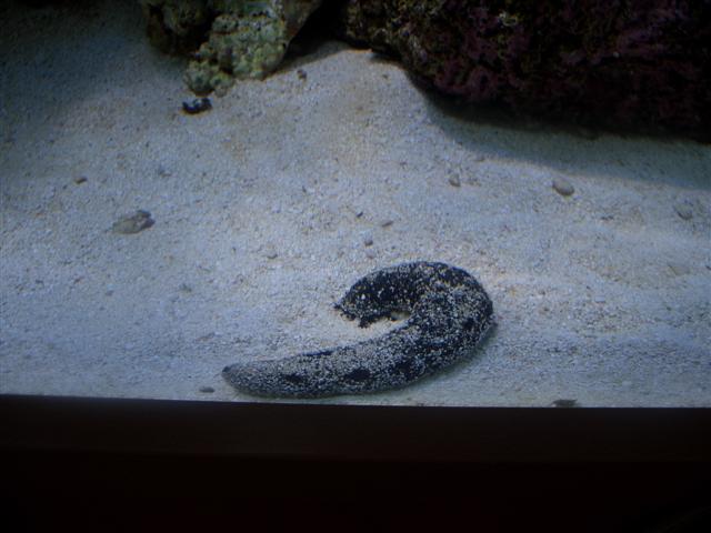 CIMG1459 (Small).JPG