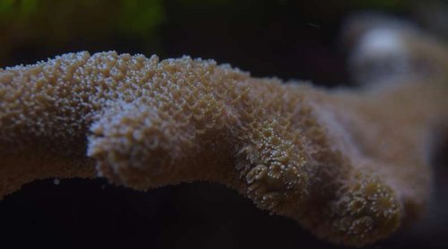DSC_0168.jpg
