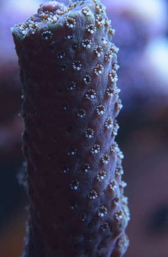 DSC_0200.jpg