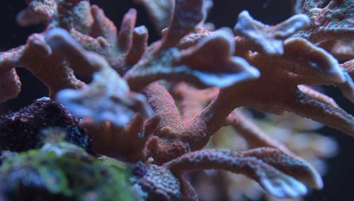 DSC_0210.jpg