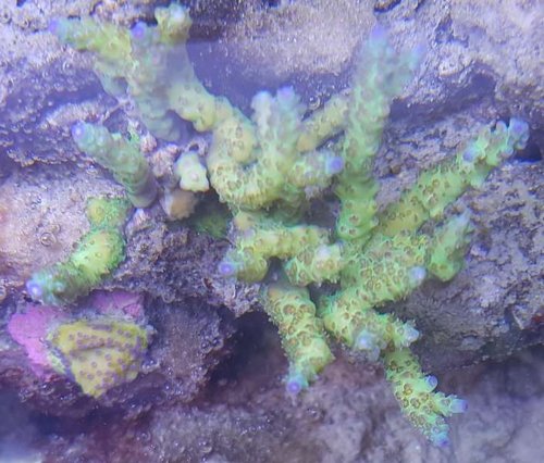 20161113_205052.jpg