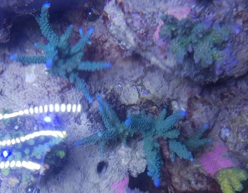 20161113_205056.jpg