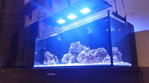 20161114_210502.jpg