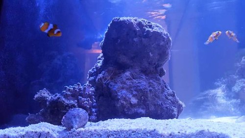 20161114_205958.jpg