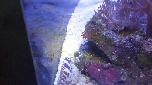 20161119_121731.jpg