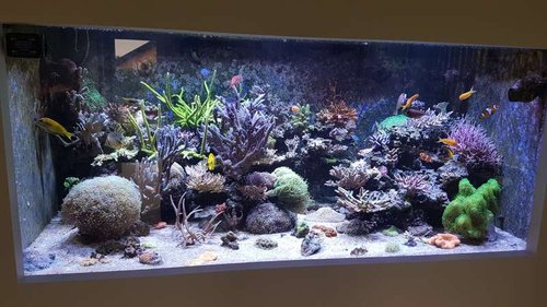 20160716_145906.jpg