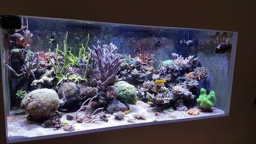 20161105_121731.jpg