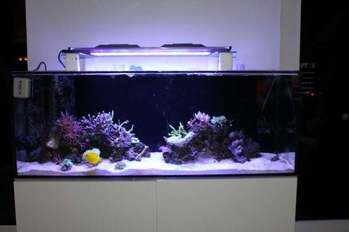 FTS.JPG