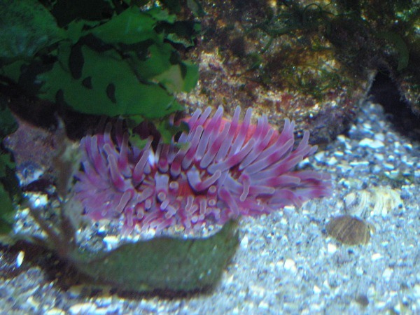 image9.jpg