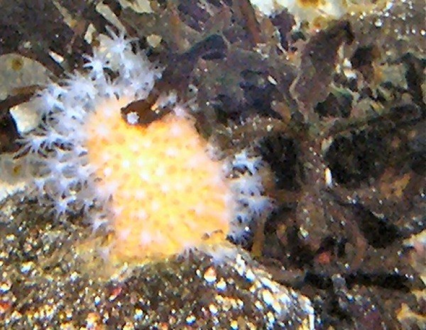 image8.jpg
