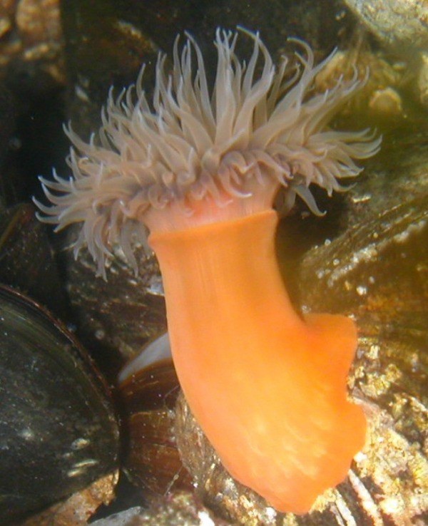 image7.jpg
