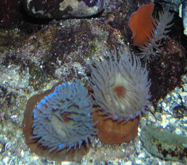 image5.jpg