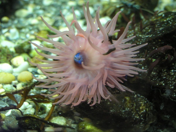 image2.jpg