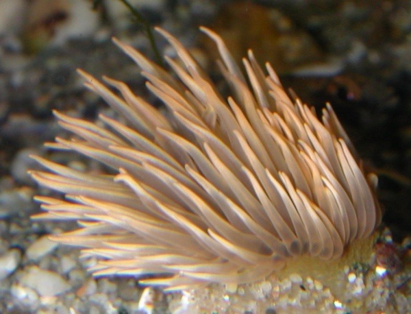 image1.jpg
