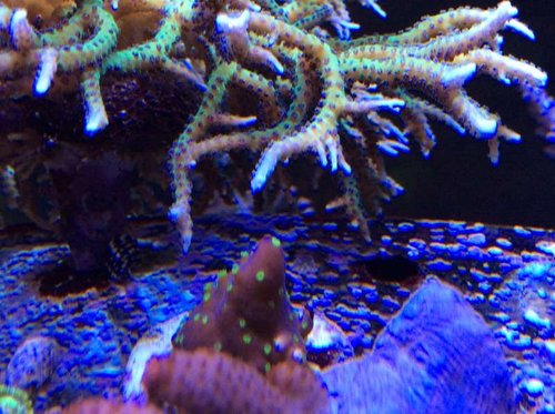 IMG_1730.JPG