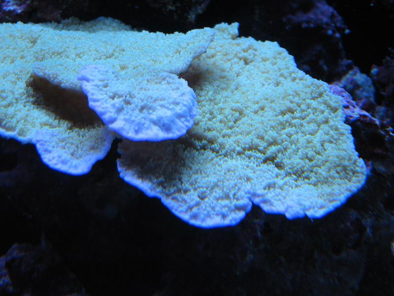 IMG_0428.JPG