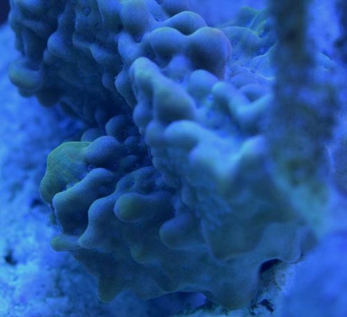 DSC_0111.jpg