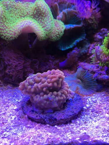 Slowburn &lt;3 total ynglings