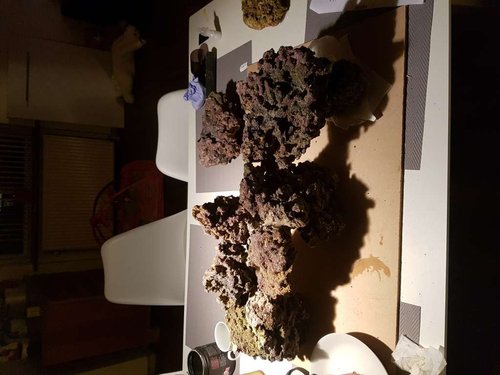 20170105_031457.jpg