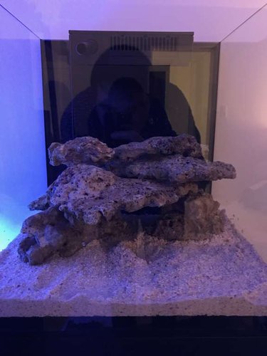 IMG_1936.jpg (33.67 KiB) Vist 5994 gange stensætning