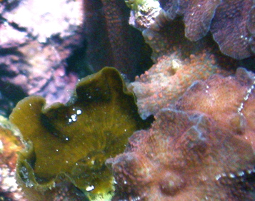 20070128_153150_0.jpg
