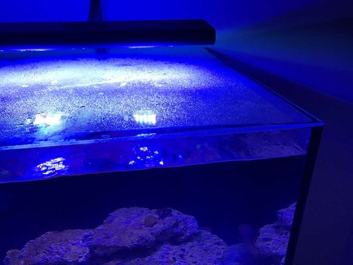 IMG_1951.JPG (69.32 KiB) Vist 5734 gange Akryl låg