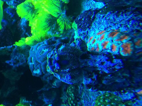 IMG_8747.JPG