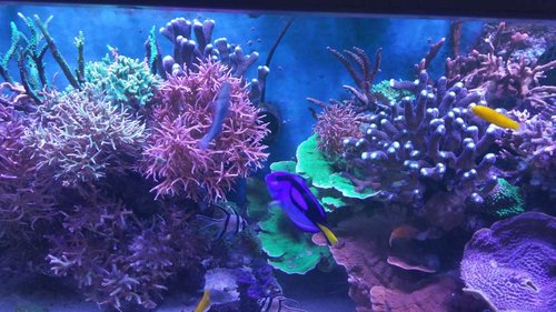 20170121_100825.jpg
