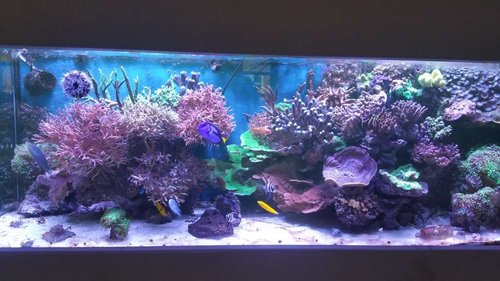 20170121_100838.jpg