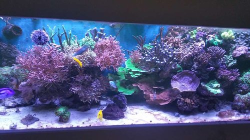 20170121_100903.jpg