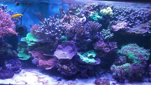 20170121_100919.jpg