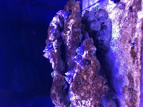 IMG_1965.JPG (113.58 KiB) Vist 2438 gange Så er CUC kommet i