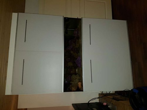 20170128_022100.jpg