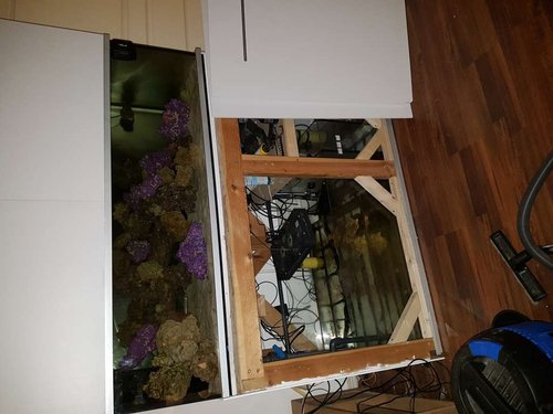 20170128_022217.jpg