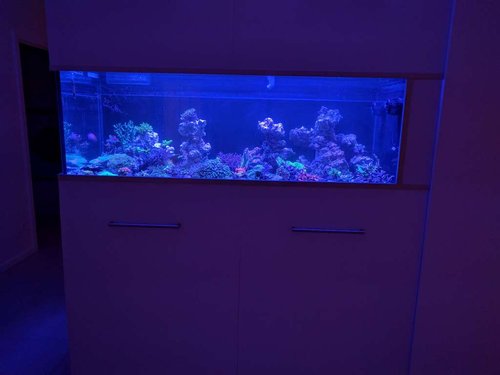 09.jpg (35.31 KiB) Vist 2259 gange 09.jpg