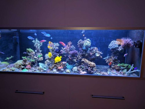 10.jpg (67.66 KiB) Vist 2259 gange 10.jpg