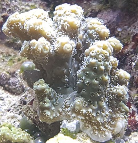 20170204_121754.jpg