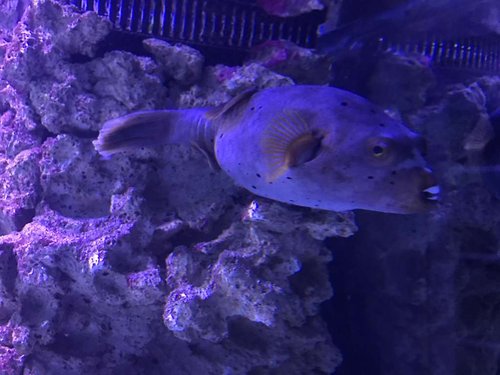 IMG_0327.JPG
