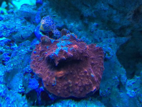 IMG_9056.JPG
