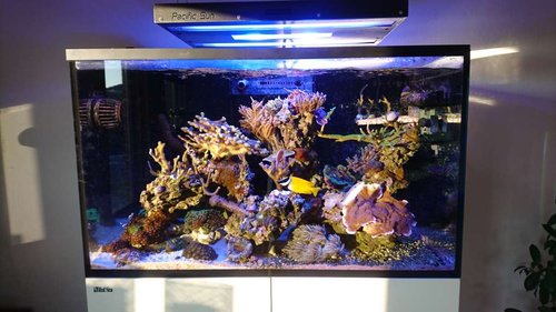 DSC_0520.JPG