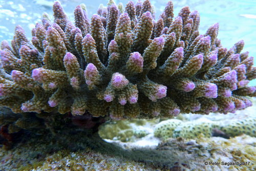 16-P1040172.JPG